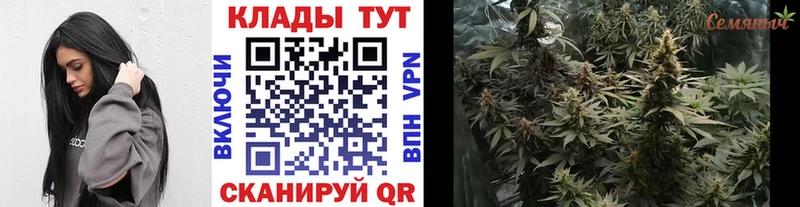 Как найти наркотики Новотитаровская Каннабис  Меф  Альфа ПВП  Гашиш  НБОМе  Кокаин  MDMA 