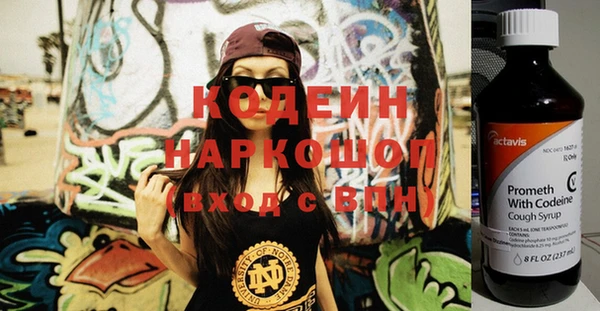 гашик Елизово