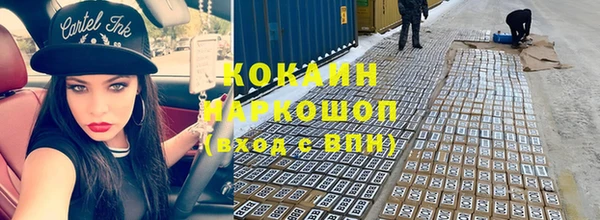 ГАЛЛЮЦИНОГЕННЫЕ ГРИБЫ Горно-Алтайск