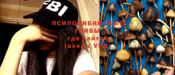 мяу мяу мука Абдулино