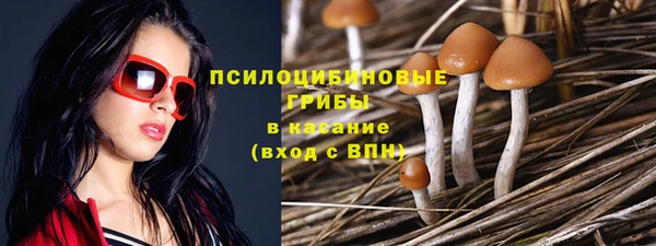 прущие крисы Абинск