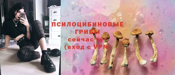 мяу мяу мука Абдулино
